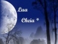 /album/galeria-de-fotos/lua-cheia-livro-jpg/